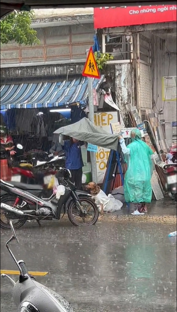 Two Girls Shield Lost Dog from Rain After Thief Drops It 1 Two girls standing on either side holding a tarp to shield a dog from the rain.
