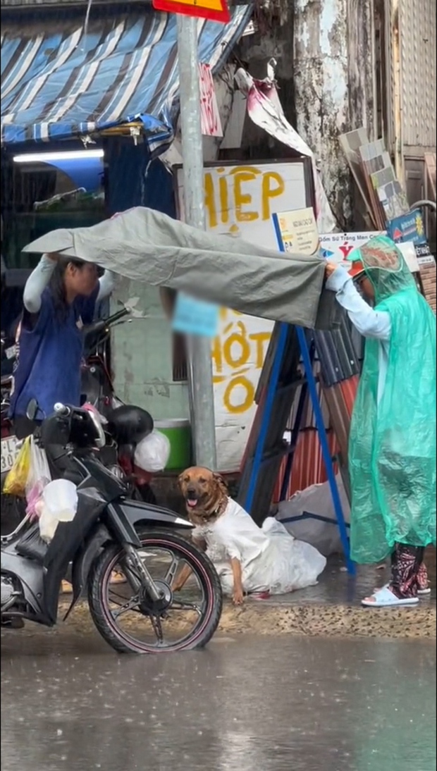 Two Girls Shield Lost Dog from Rain After Thief Drops It 3 The scared lost dog wouldn’t let people get close to care for it.