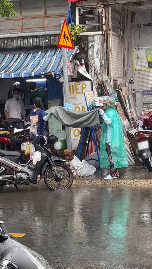 Two Girls Shield Lost Dog from Rain After Thief Drops It 4 photo 3 1660274453591227693514