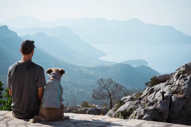 Man and His Dog Walked 45,000 km Around the World 5 Tom and Savannah walking on the road