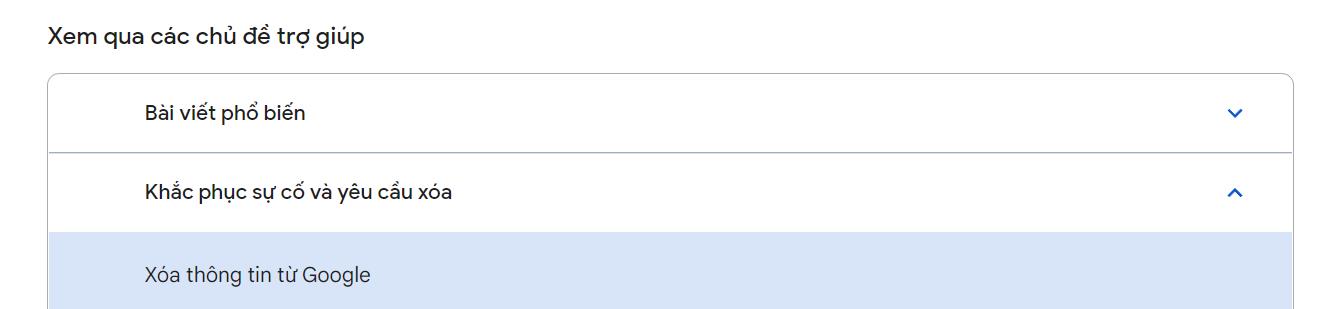 Google Remove Information options