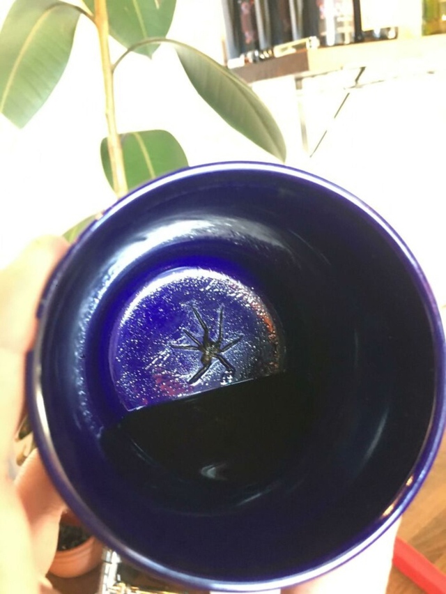 Even scarier than finding a spider in your glass is only seeing it after you’ve almost finished your drink.
