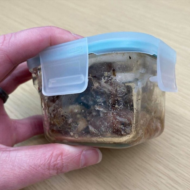Forgotten food box from the pandemic and what it looks like when 