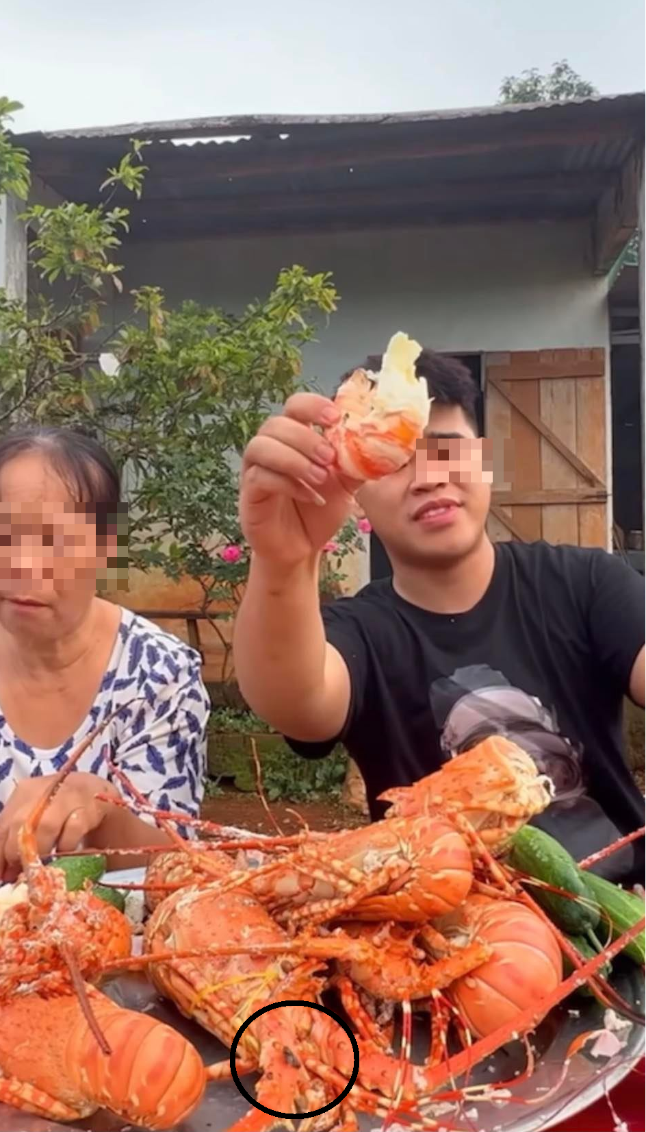 TikToker ‘Spicy King’ Faces Backlash Over Flies on Lobster Feast 1 fylr0ik 1677055536554 1677055536884967744752 1677059461090 1677059461386317262248