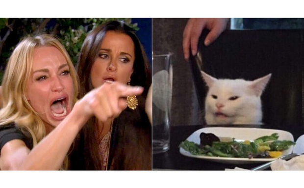 Artist Recreates Iconic Woman Yelling at Cat Meme Better Than AI 1 photo 1 157728344797995909383 1693985509541492855310 1693991387065 16939913874571101326483