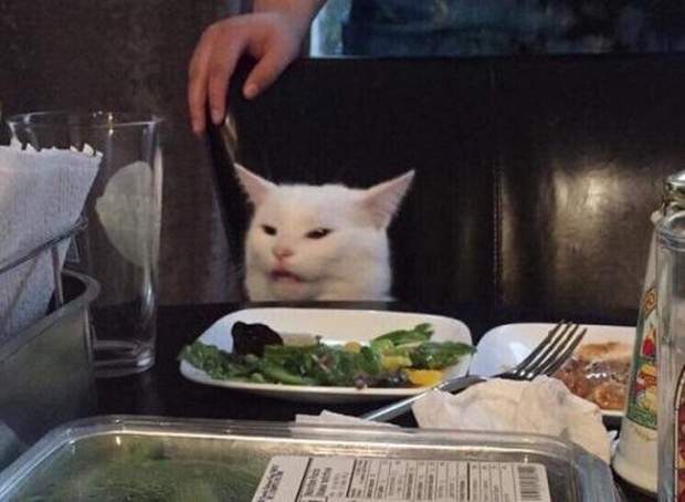 Artist Recreates Iconic Woman Yelling at Cat Meme Better Than AI 3 The cat in the photo is named Smudge, owned by the user @deadbefordeath.