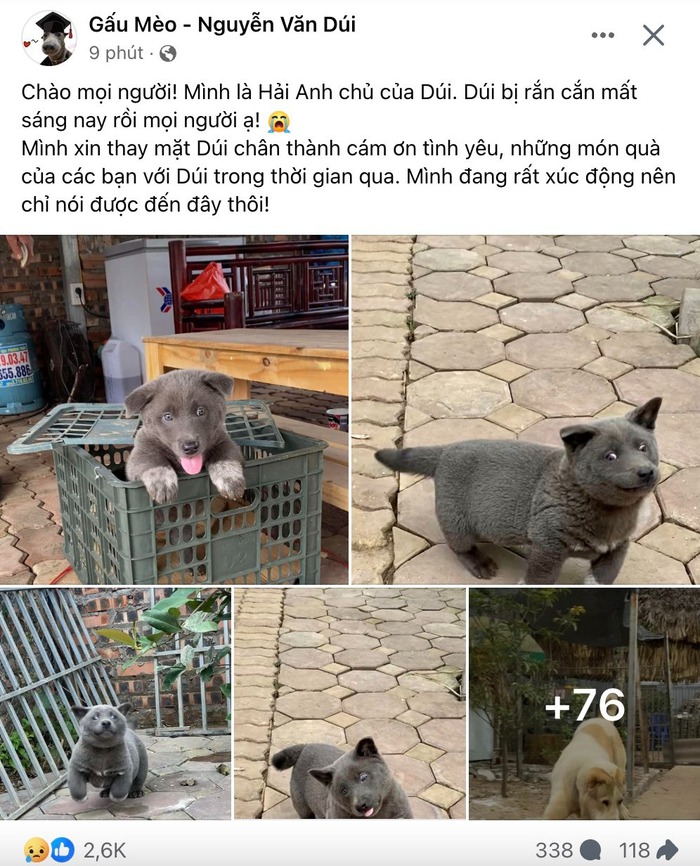Famous Dog Nguyễn Văn Dúi Passes Away 1 Owner's announcement about Nguyễn Văn Dúi