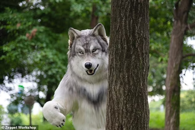 Toru Ueda in his custom wolf costume