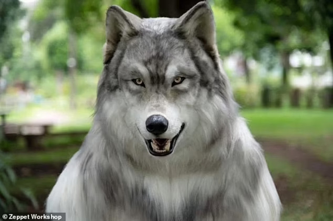 Back view of the wolf costume