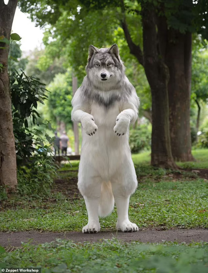 Toru Ueda modeling the wolf costume