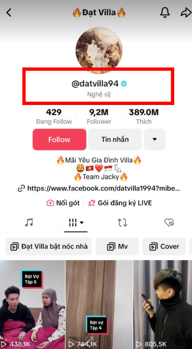 TikTok Star Đạt Villa Faces Backlash Over 'Artist' Title 2 Đạt Villa TikTok controversy