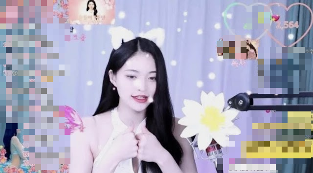 Streamer Somyi Sentenced for False Harassment Claim 3 Somyi early career photos