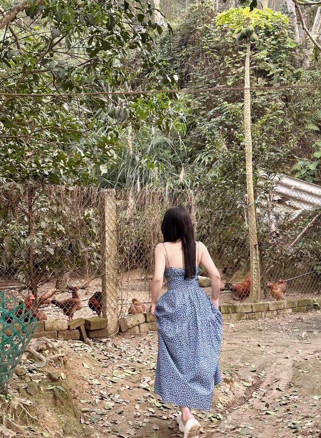 Truong My Duyen’s Casual Photos Win Hearts Online 6 48113577818045001936652683335587744809235147n 1741081480158103039582