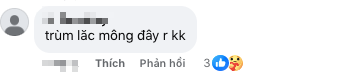Comments admiring Anh Tho's versatility