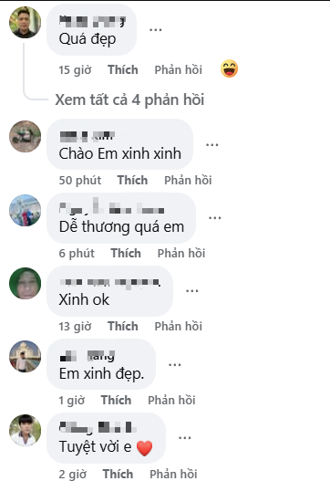 Lê Phương Anh social media profile