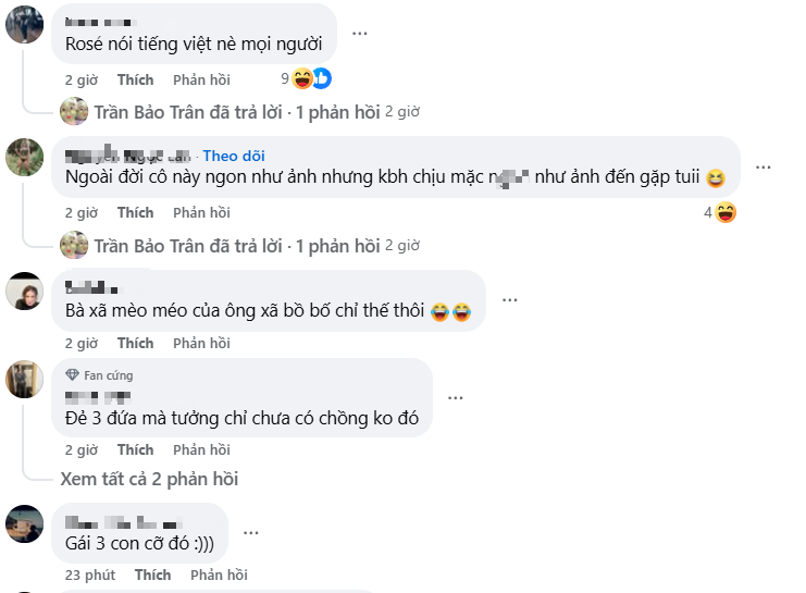 Trân Mèo social media update
