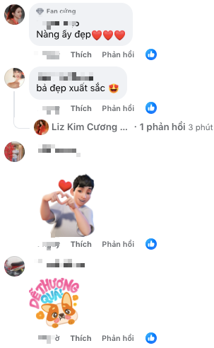 Screenshot of fan comments praising Liz Kim Cương