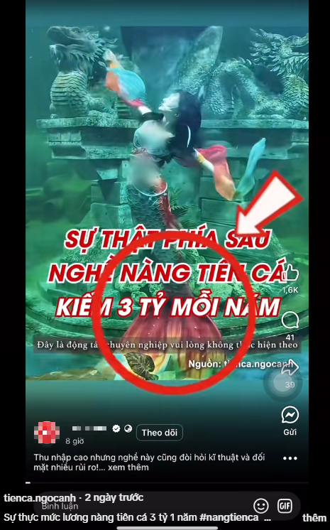 Mermaid Performer Ngọc Ánh Clears Up Income Rumors 4 Income rumors about mermaid performers