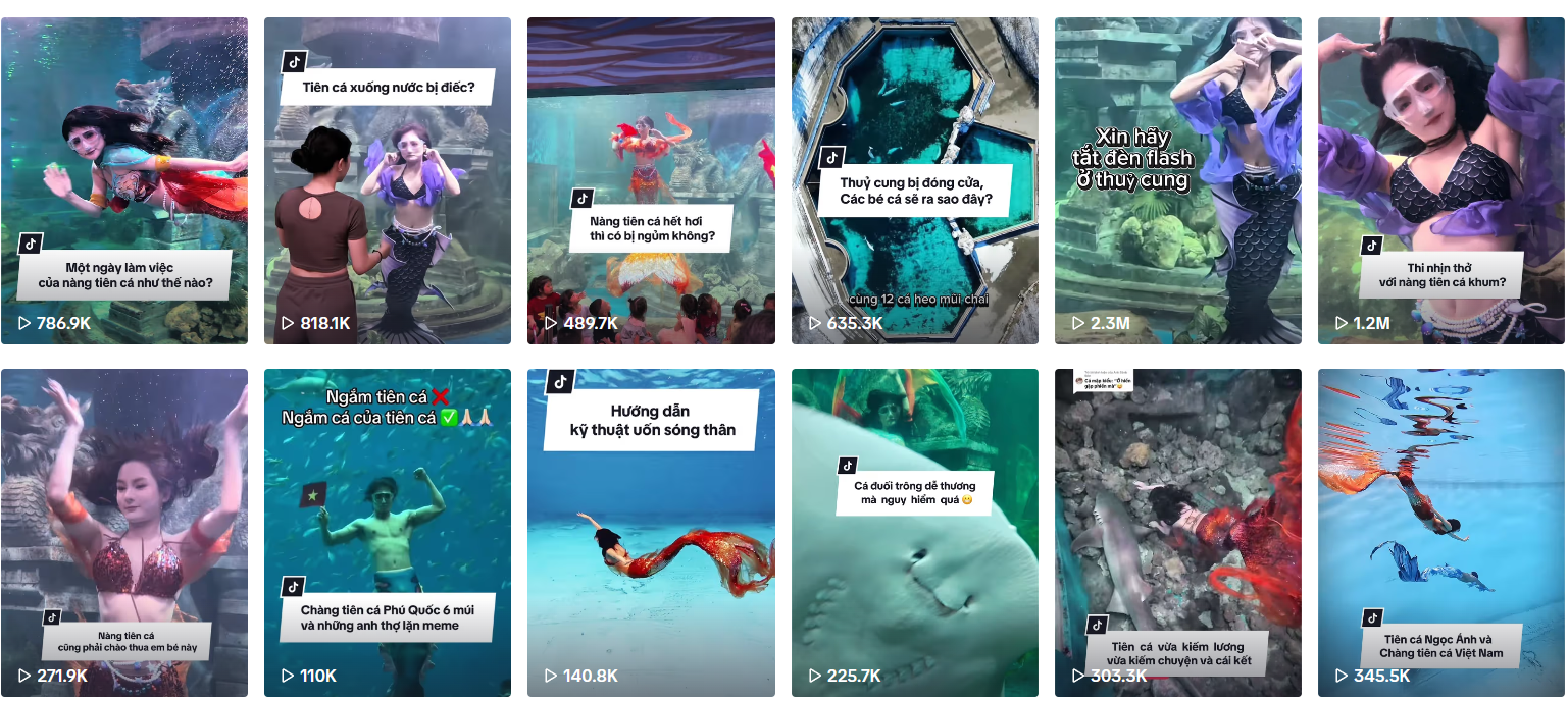 Mermaid Performer Ngọc Ánh Clears Up Income Rumors 2 Ngọc Ánh in mermaid costume