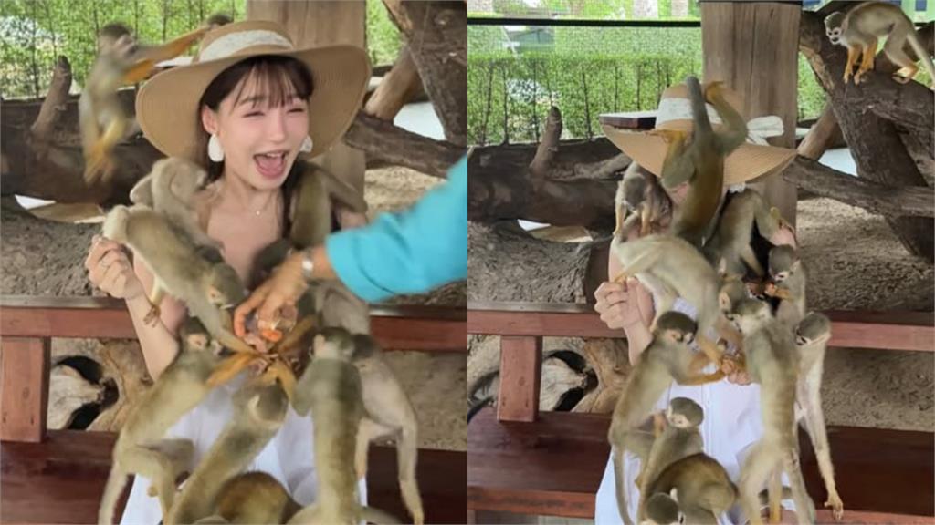 Yuan Yuan surrounded by playful baby monkeys at the zoo