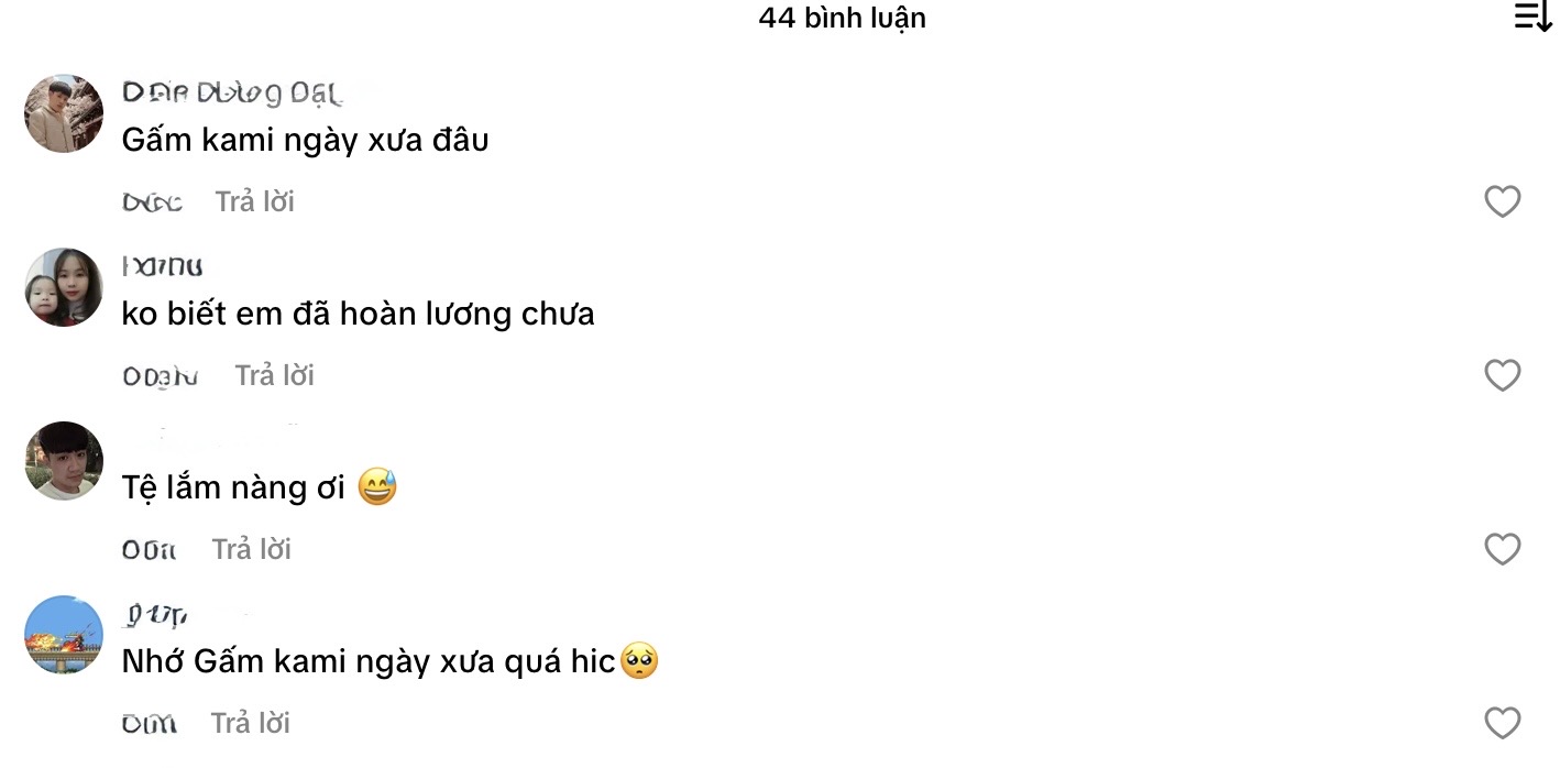 Gấm Kami's current content style