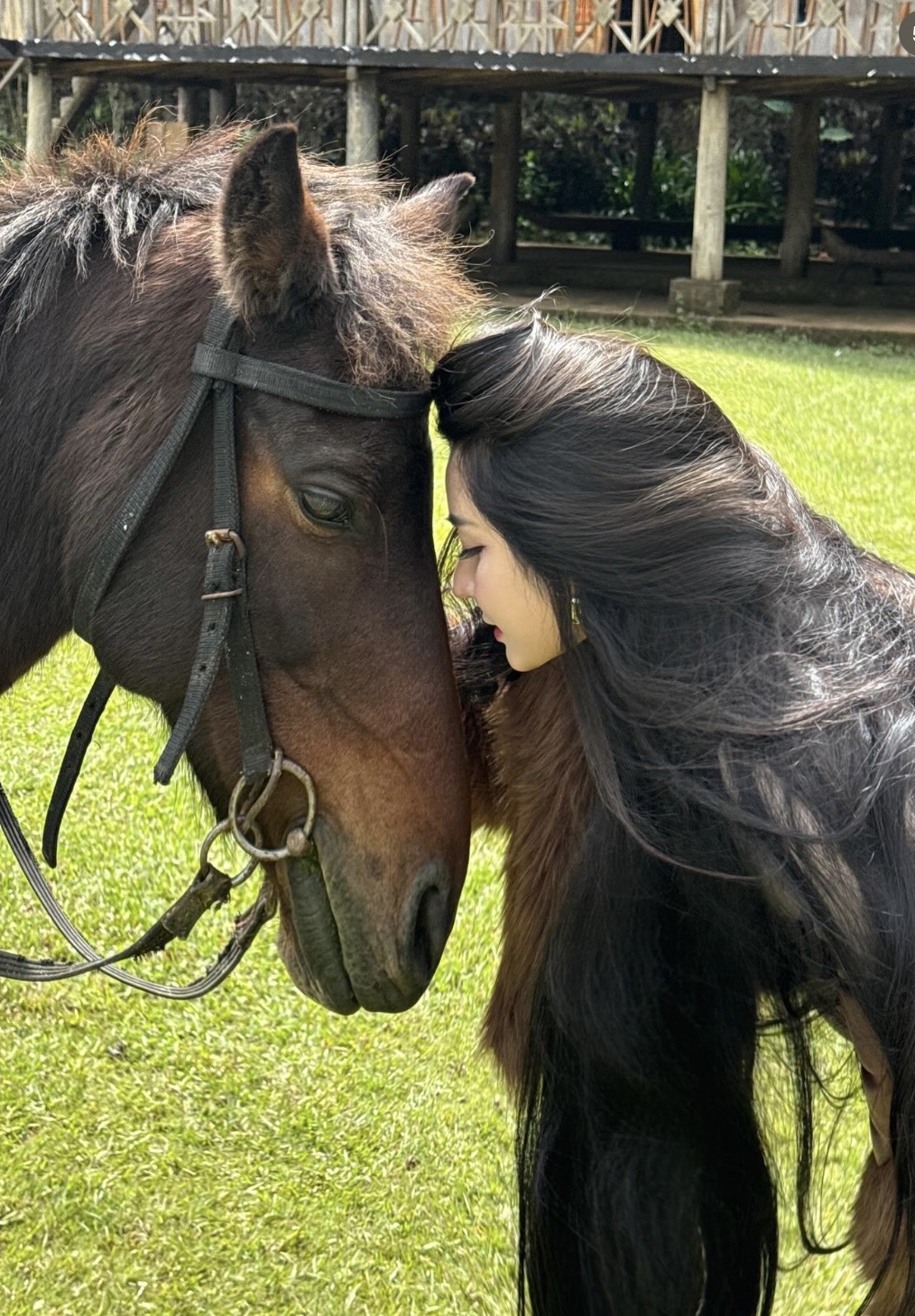 Horse Rider Star Stuns Fans with Stunning Bikini Transformation 3 Vo Ngoc Tran riding horse
