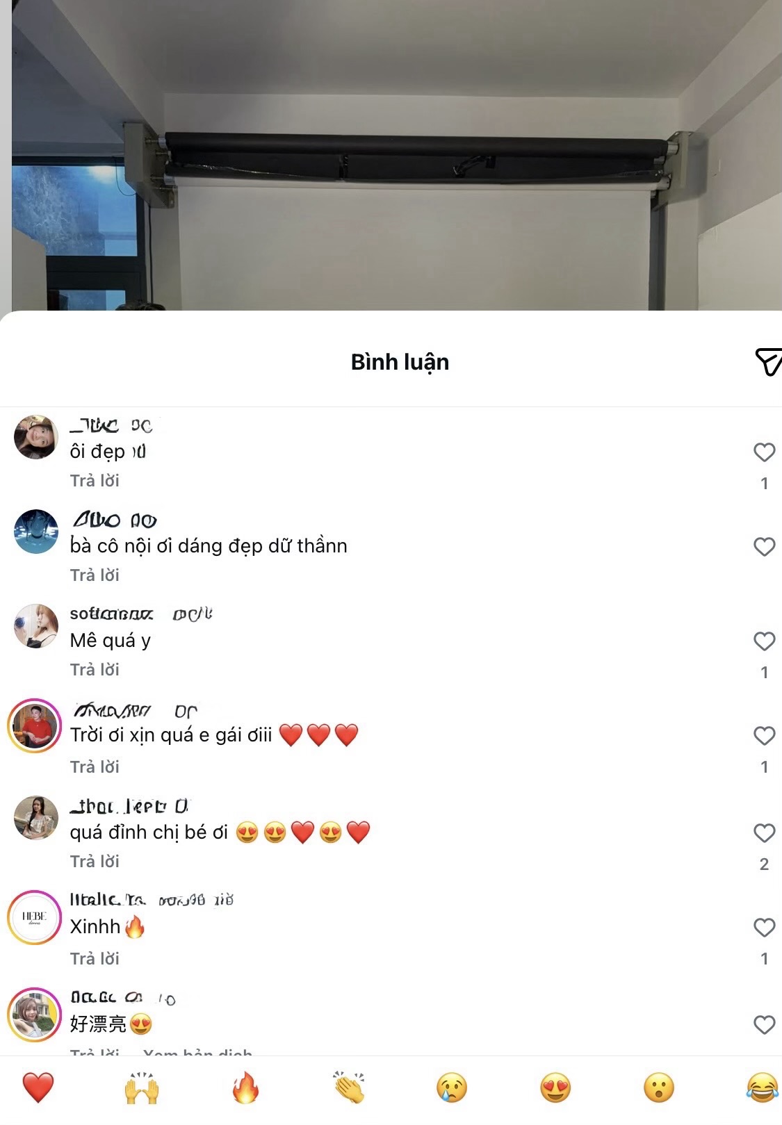 Fans celebrating Louis Phạm's announcement