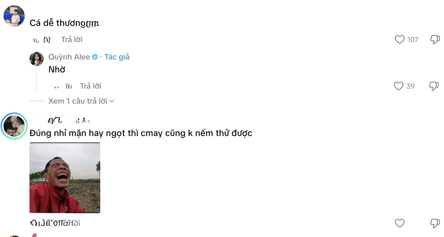 Online support for Quỳnh Alee