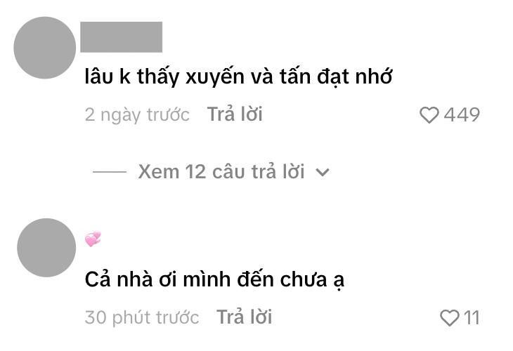 Comments questioning the silence of these TikTokers
