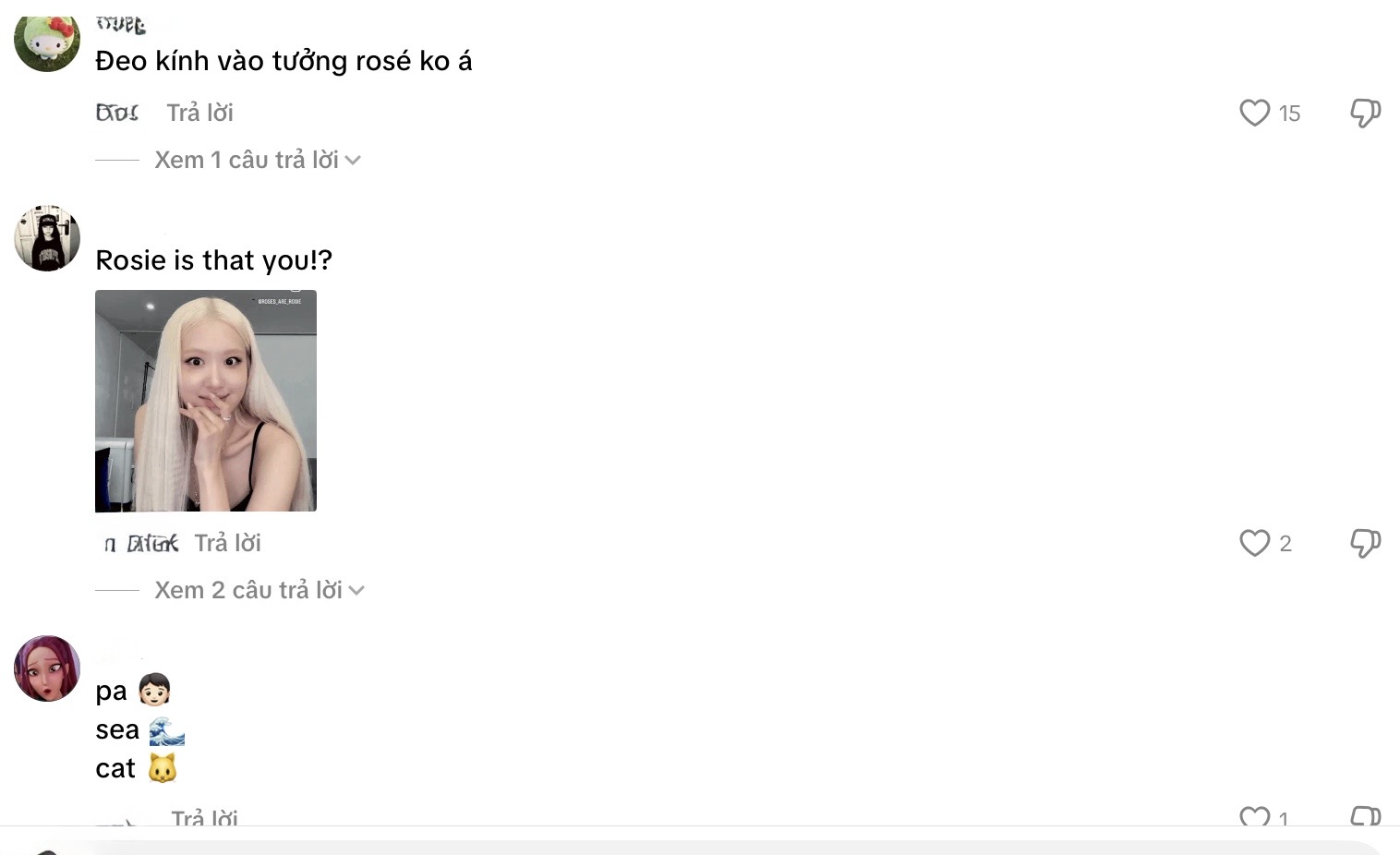 International fans commenting in disbelief on Lê Huyền Diệu's resemblance to Rosé