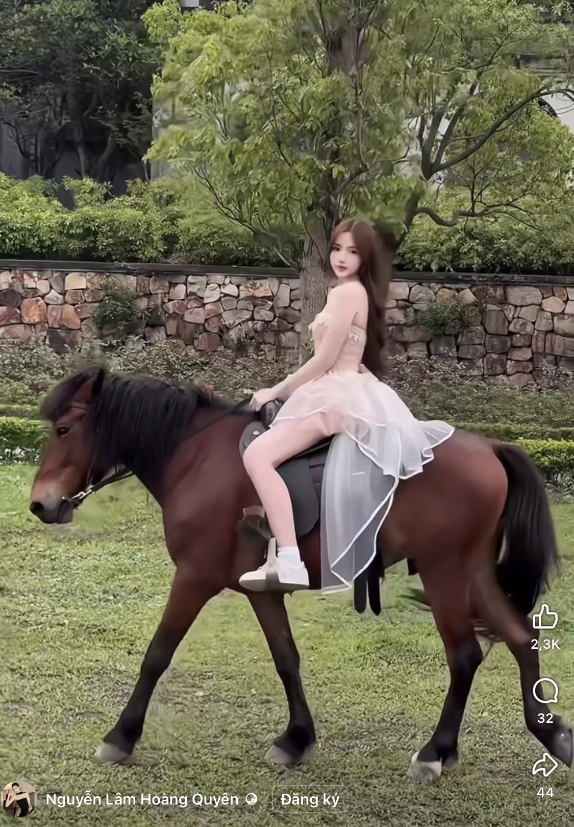 Young Woman’s Horse Riding Clip Sparks Deep Nostalgia 1 Young woman riding horse with flowing hair
